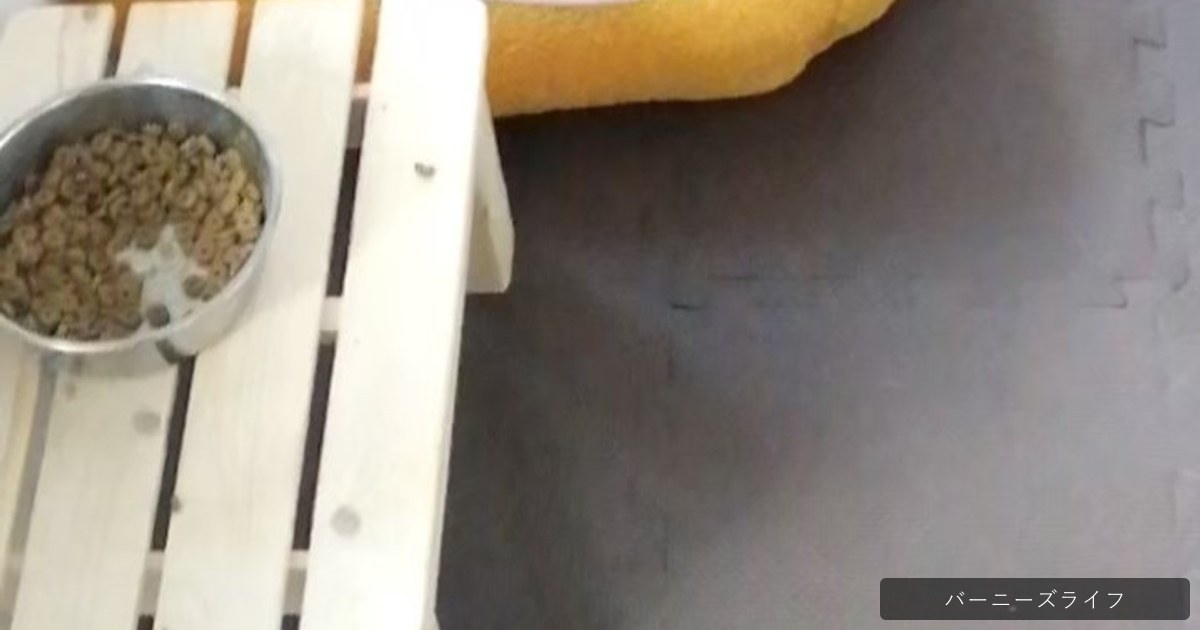 ????????????????????????????