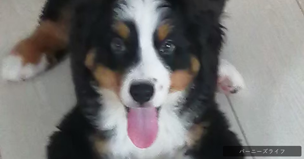 ?????????????????????????????????